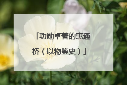 功勋卓著的惠通桥（以物鉴史）