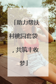 助力帮扶村桃园套袋，共筑丰收梦