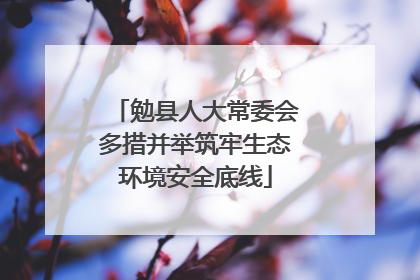 勉县人大常委会多措并举筑牢生态环境安全底线
