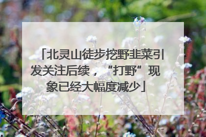 北灵山徒步挖野韭菜引发关注后续，“打野”现象已经大幅度减少
