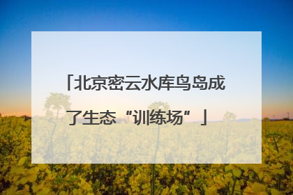 北京密云水库鸟岛成了生态“训练场”