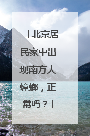 北京居民家中出现南方大蟑螂，正常吗？