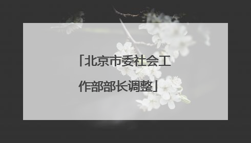 北京市委社会工作部部长调整