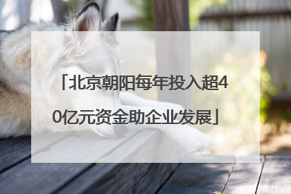 北京朝阳每年投入超40亿元资金助企业发展