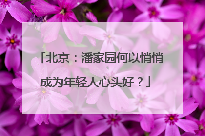 北京：潘家园何以悄悄成为年轻人心头好？