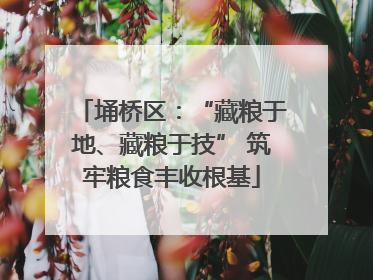 埇桥区：“藏粮于地、藏粮于技” 筑牢粮食丰收根基