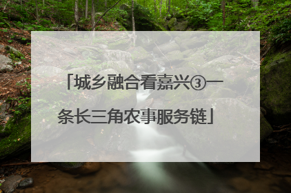 城乡融合看嘉兴③一条长三角农事服务链