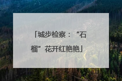 城步检察：“石榴”花开红艳艳
