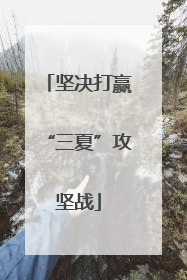 坚决打赢“三夏”攻坚战