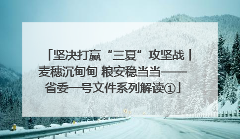 坚决打赢“三夏”攻坚战丨麦穗沉甸甸 粮安稳当当——省委一号文件系列解读①