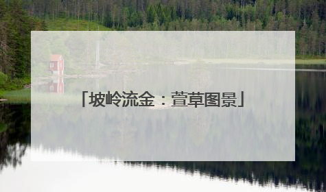 坡岭流金：萱草图景