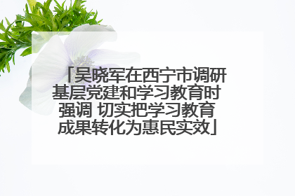 吴晓军在西宁市调研基层党建和学习教育时强调 切实把学习教育成果转化为惠民实效