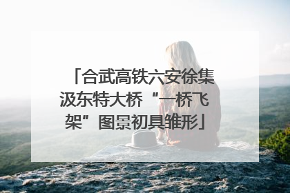 合武高铁六安徐集汲东特大桥“一桥飞架”图景初具雏形