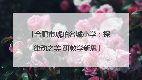 合肥市琥珀名城小学：探律动之美 研教学新思