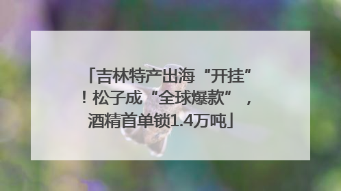 吉林特产出海“开挂”！松子成“全球爆款”，酒精首单锁1.4万吨