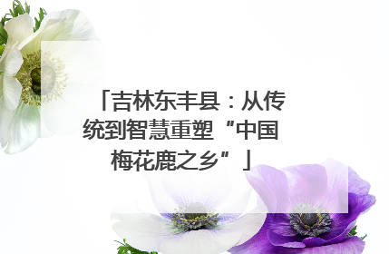 吉林东丰县：从传统到智慧重塑“中国梅花鹿之乡”