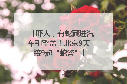 吓人，有蛇藏进汽车引擎盖！北京9天接9起“蛇警”