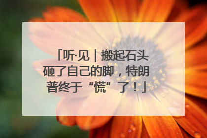 听·见｜搬起石头砸了自己的脚，特朗普终于“慌”了！