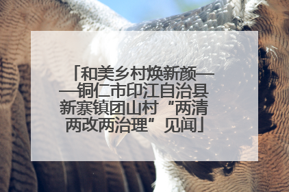 和美乡村焕新颜——铜仁市印江自治县新寨镇团山村“两清两改两治理”见闻
