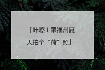 咔嚓！跟福州夏天拍个“荷”照