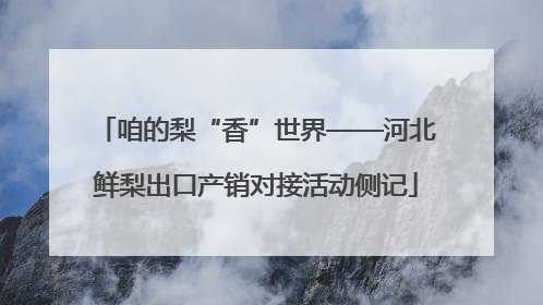 咱的梨“香”世界——河北鲜梨出口产销对接活动侧记
