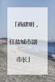 商建明，任盐城市副市长