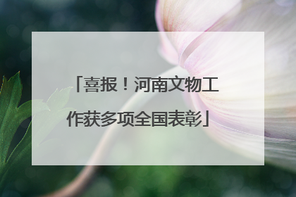 喜报！河南文物工作获多项全国表彰