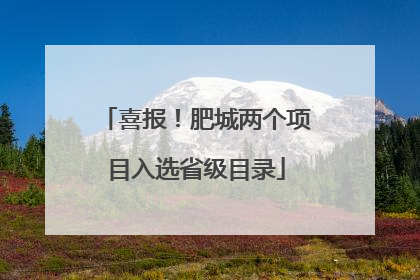 喜报！肥城两个项目入选省级目录