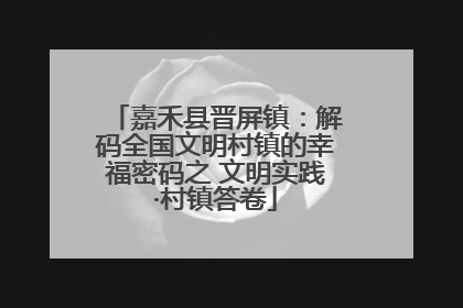 嘉禾县晋屏镇：解码全国文明村镇的幸福密码之 文明实践·村镇答卷