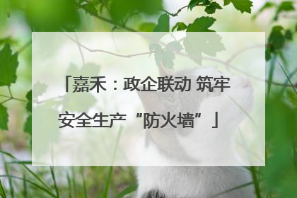 嘉禾：政企联动 筑牢安全生产“防火墙”