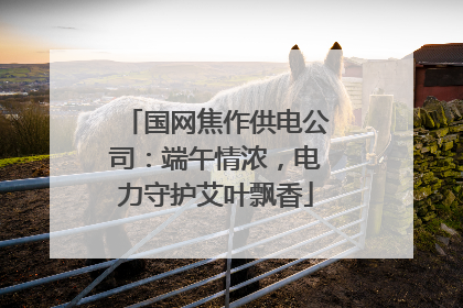 国网焦作供电公司：端午情浓，电力守护艾叶飘香
