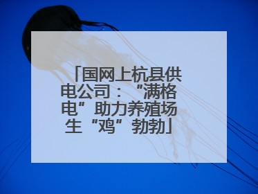 国网上杭县供电公司：“满格电”助力养殖场生“鸡”勃勃