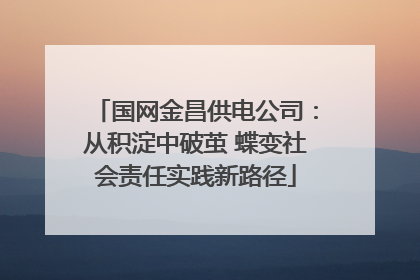 国网金昌供电公司：从积淀中破茧 蝶变社会责任实践新路径