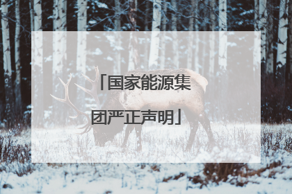 国家能源集团严正声明