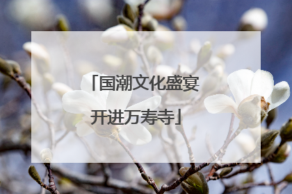 国潮文化盛宴开进万寿寺