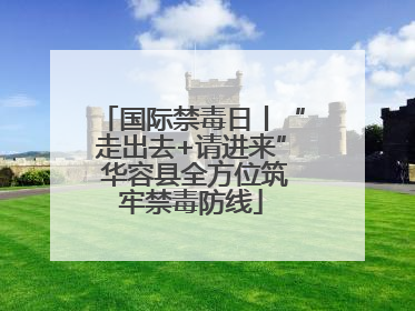 国际禁毒日丨“走出去+请进来” 华容县全方位筑牢禁毒防线