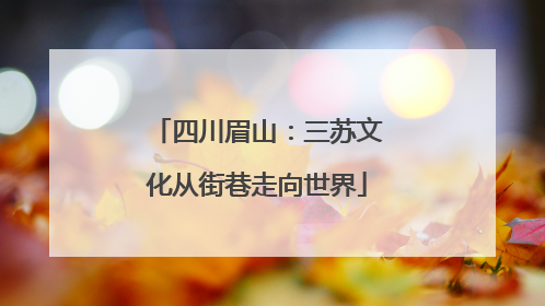 四川眉山：三苏文化从街巷走向世界