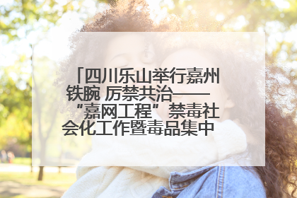 四川乐山举行嘉州铁腕 厉禁共治——“嘉网工程”禁毒社会化工作暨毒品集中销毁启动仪式