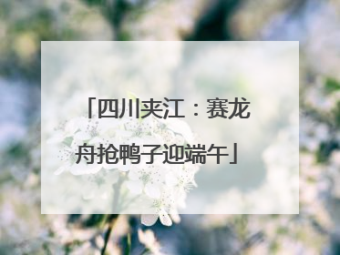 四川夹江：赛龙舟抢鸭子迎端午