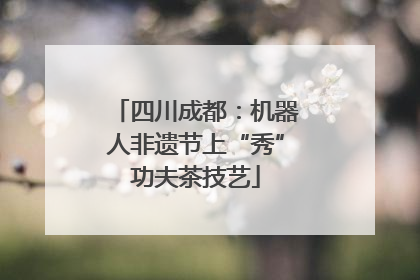 四川成都：机器人非遗节上“秀”功夫茶技艺