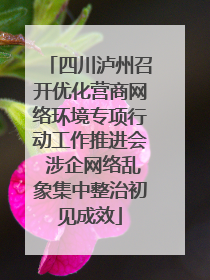 四川泸州召开优化营商网络环境专项行动工作推进会 涉企网络乱象集中整治初见成效