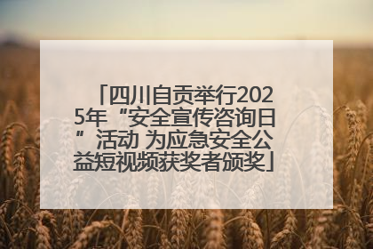 四川自贡举行2025年“安全宣传咨询日”活动 为应急安全公益短视频获奖者颁奖