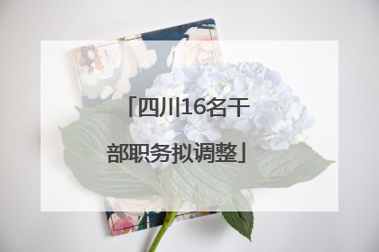 四川16名干部职务拟调整