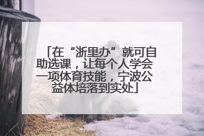 在“浙里办”就可自助选课，让每个人学会一项体育技能，宁波公益体培落到实处