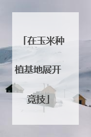 在玉米种植基地展开竞技