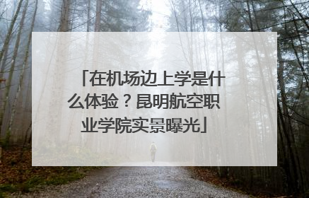 在机场边上学是什么体验？昆明航空职业学院实景曝光