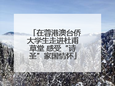 在蓉港澳台侨大学生走进杜甫草堂 感受“诗圣”家国情怀