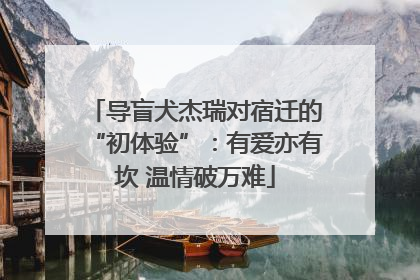 导盲犬杰瑞对宿迁的“初体验”：有爱亦有坎 温情破万难