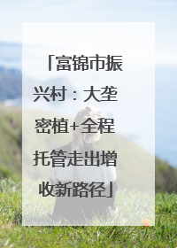 富锦市振兴村：大垄密植+全程托管走出增收新路径