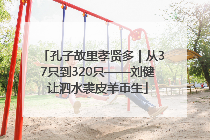 孔子故里孝贤多｜从37只到320只——刘健让泗水裘皮羊重生
